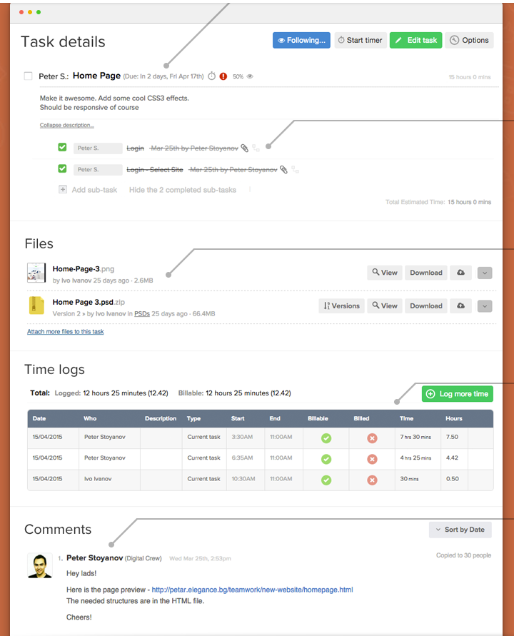 Teamwork Task Detail Feature